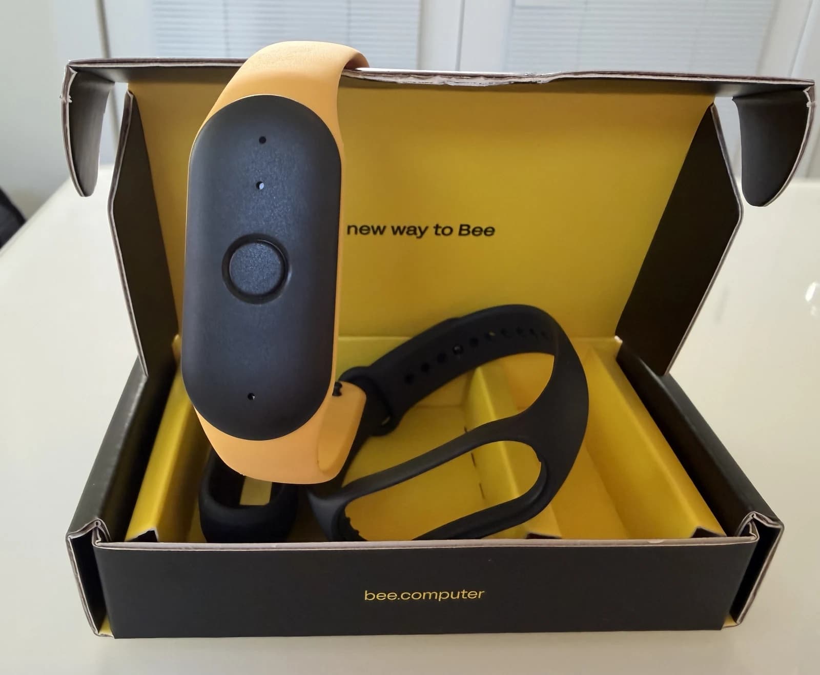 Bee Pioneer 随身 AI 记忆器 · 适合谁