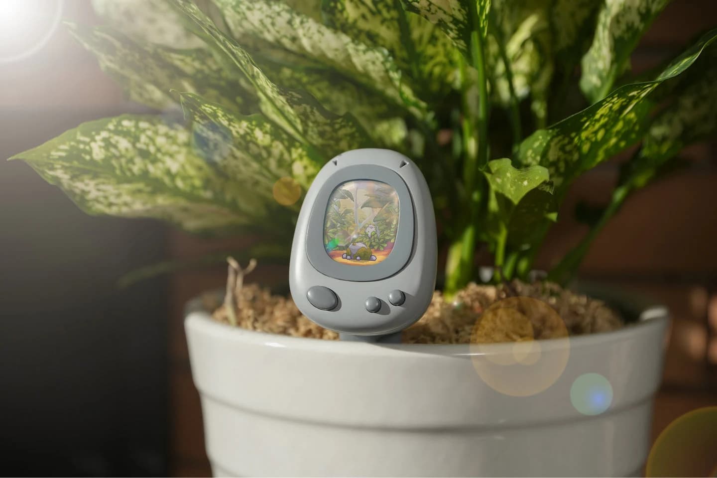 Senso AI 植物电子宠物 · 如何交互