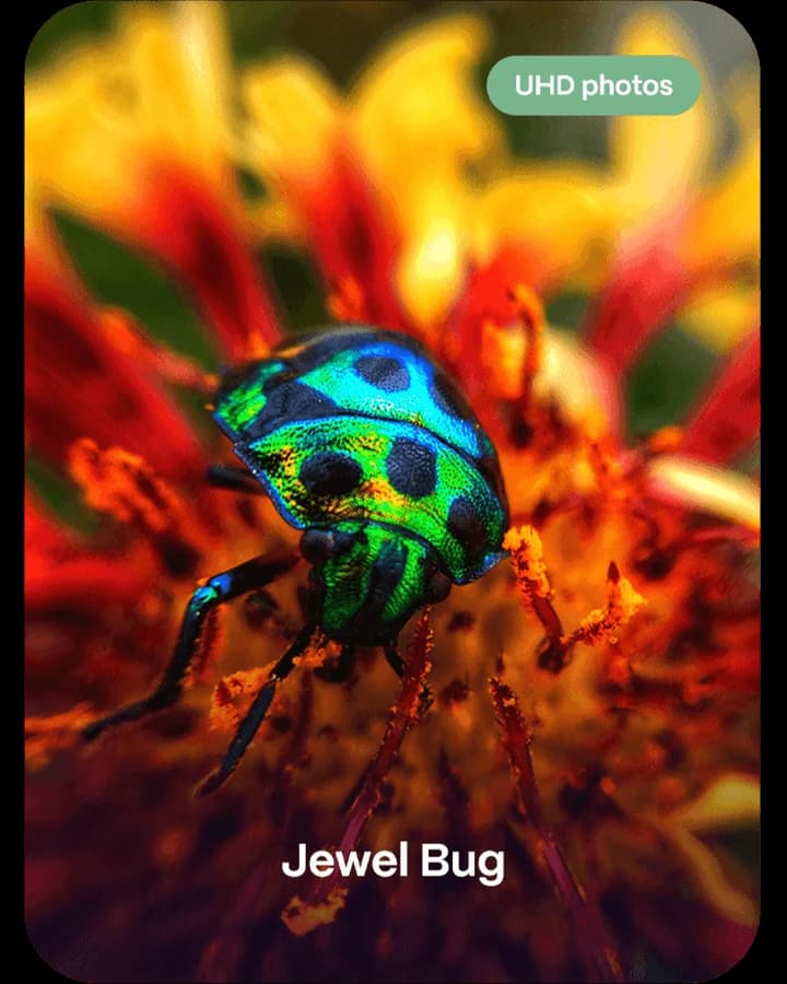 Petal AI 自然观察相机 · 关键规格